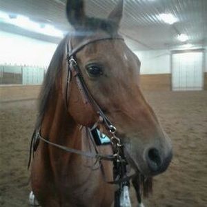 Meet your Posher, Staci